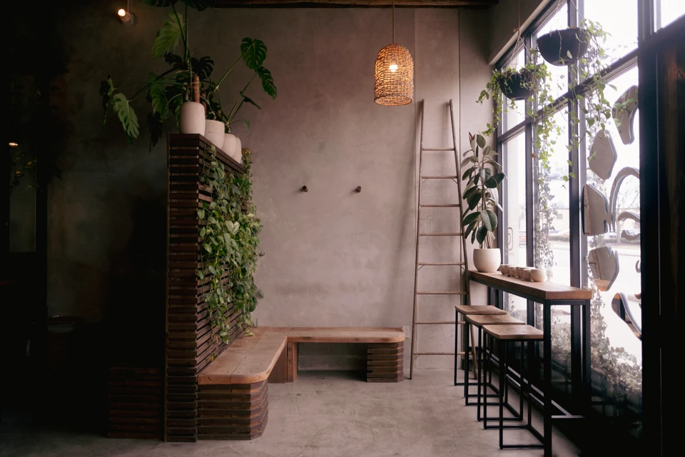 Plants, wood millwork, a ladder, woven pendant light, and windows around the limewashed studio lobby.